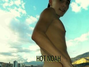 HOT_NOAH