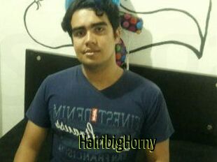 HairibigHorny