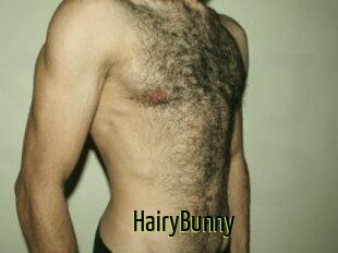 HairyBunny