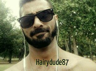 Hairydude87