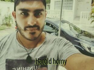 Harold_horny