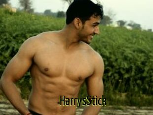 HarrysStick