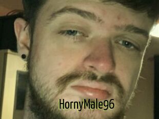 HornyMale96