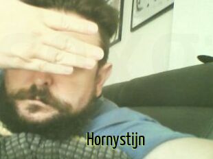 Hornystijn