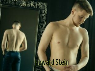 Howard_Stein