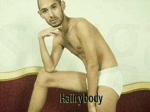 Haiirybody