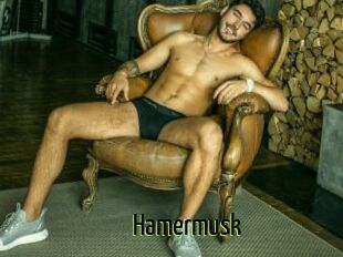 Hamermusk