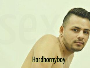Hardhornyboy