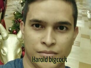Harold_bigcock