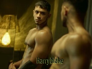 Harryblake