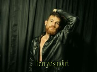 Harrybsmdirt