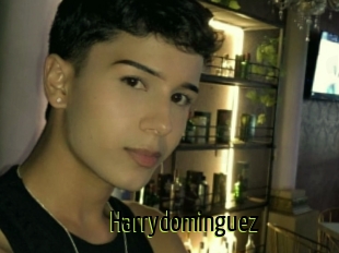 Harrydominguez