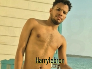 Harrylebron