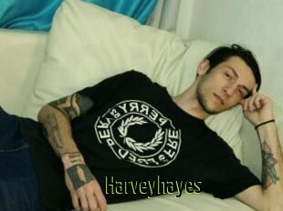 Harveyhayes