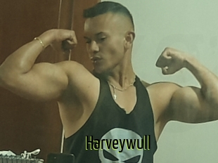 Harveywull
