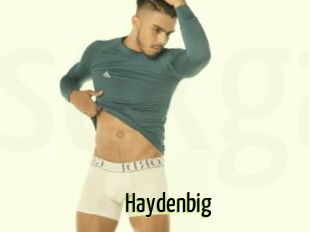 Haydenbig