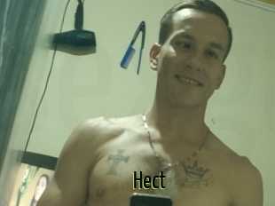 Hect