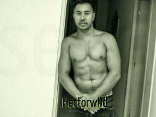 Hectorwild