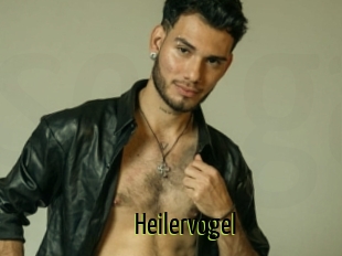Heilervogel