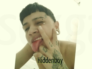 Hiddenboy