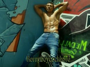 Hornyboycockhard