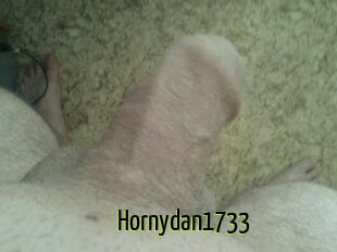 Hornydan1733