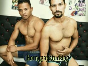Hornygaysfucking