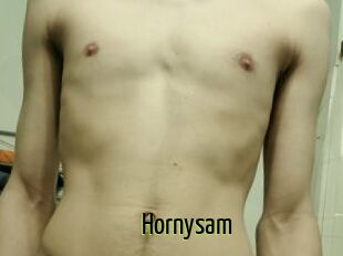 Hornysam