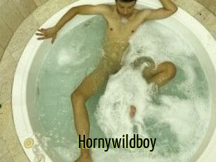 Hornywildboy