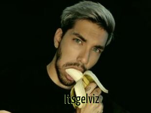 Itsgelviz