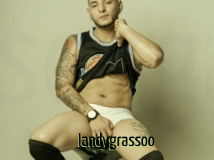 Iandygrassoo