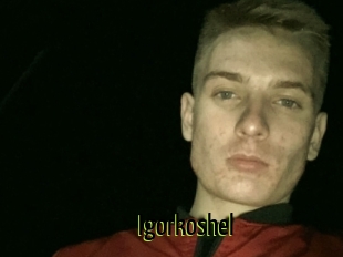 Igorkoshel