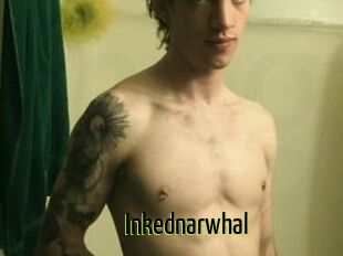 Inkednarwhal