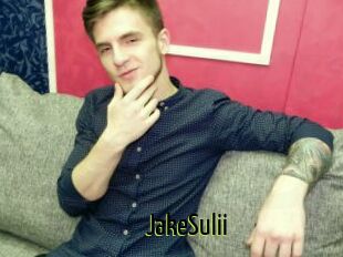 JakeSulii