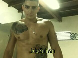 Jake_Sulivan