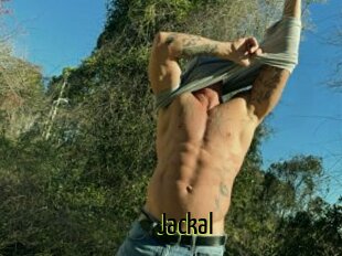Jackal