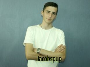 Jacobspup