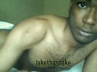 Jake_tha_snake