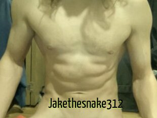 Jakethesnake312