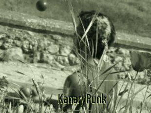 KanaryPunk