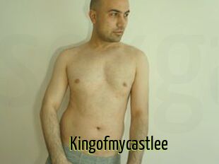 Kingofmycastlee
