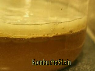 KombuchaStain