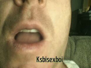 Ksbisexboi