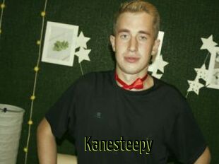 Kanesteepy