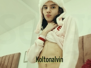 Koltonalvin