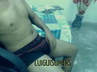 LUIGUISUMERS