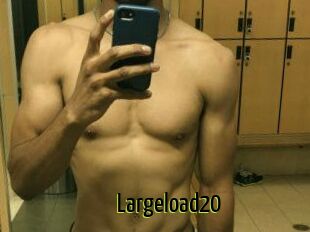 Largeload20