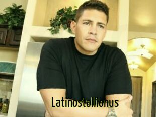 Latinostallionus