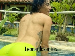 Leonardosantos