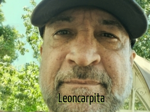Leoncarpita